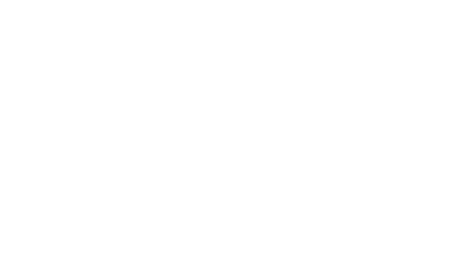main-dgermer